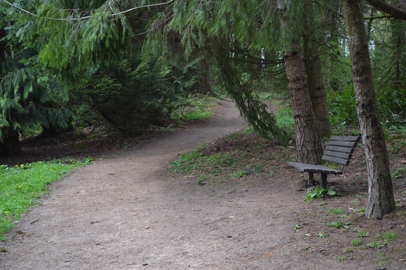 Bench along the Wildwood Trail